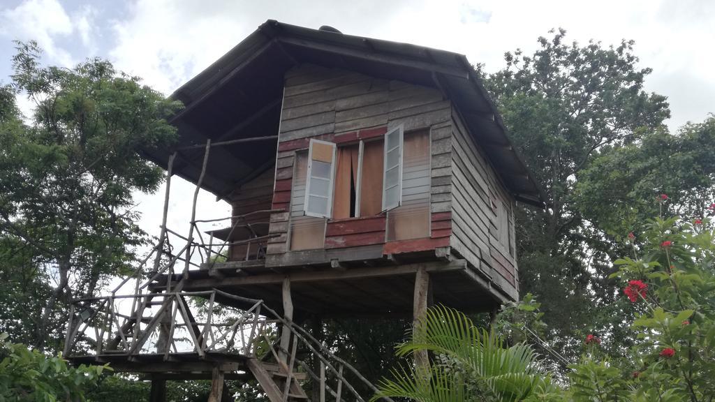 Sigiri Forest View Sigiriya Exterior foto