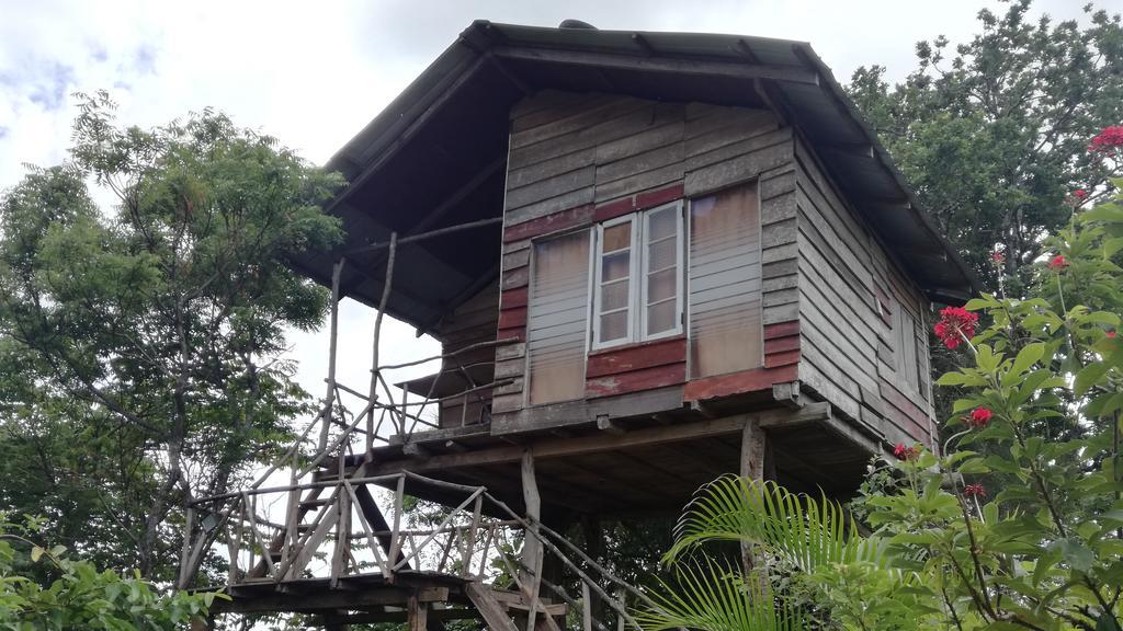 Sigiri Forest View Sigiriya Exterior foto